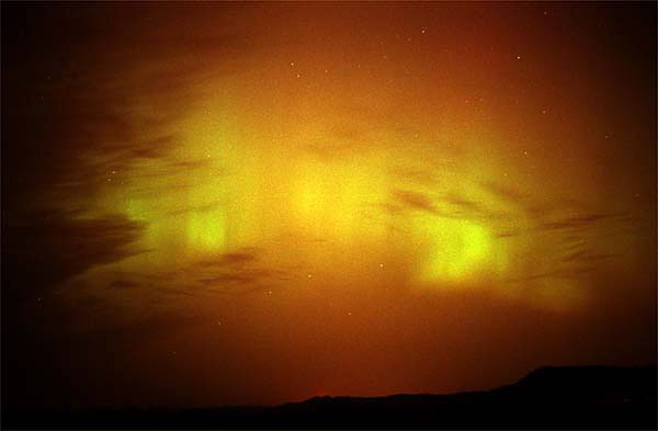 Aurora10_Wald_3_31_01_Net