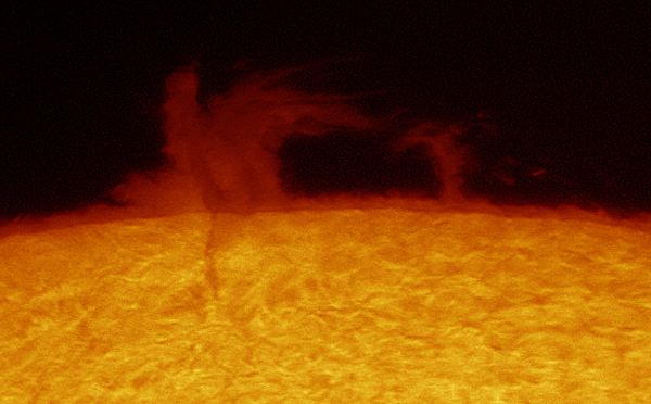 Loop Prominence imaged 21 October, 2010