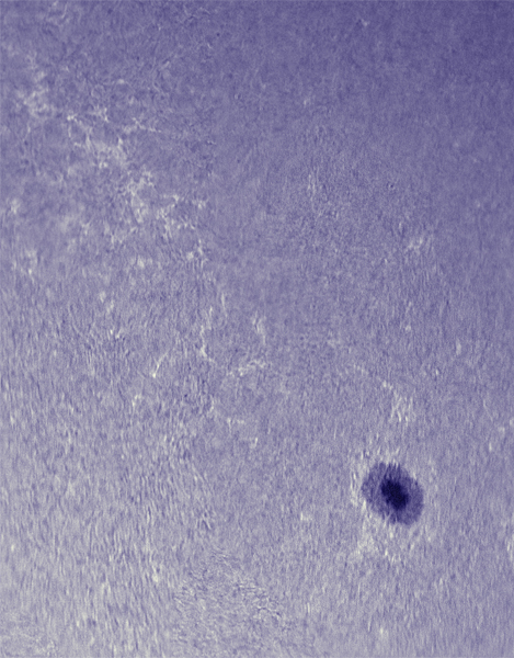 Sunspot 1113 in Ca II H Line